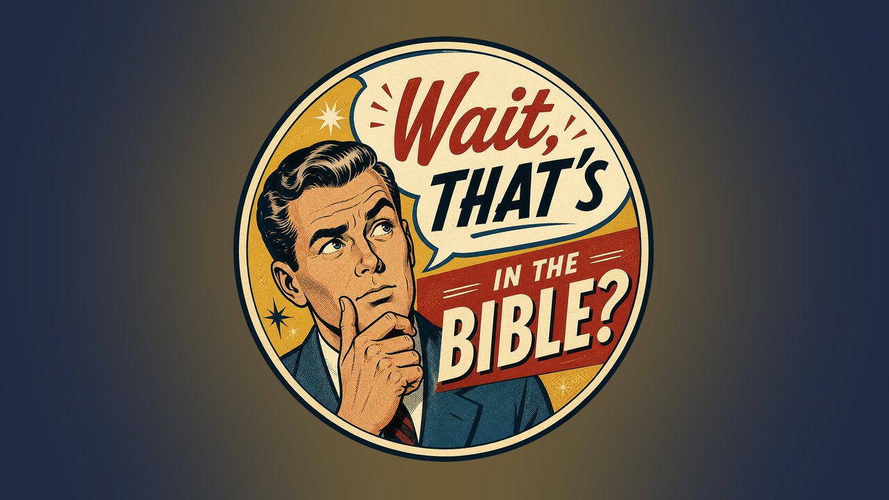 Wait, That's in the Bible? podcast art